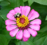 .7.6.25 P1090266.JPG